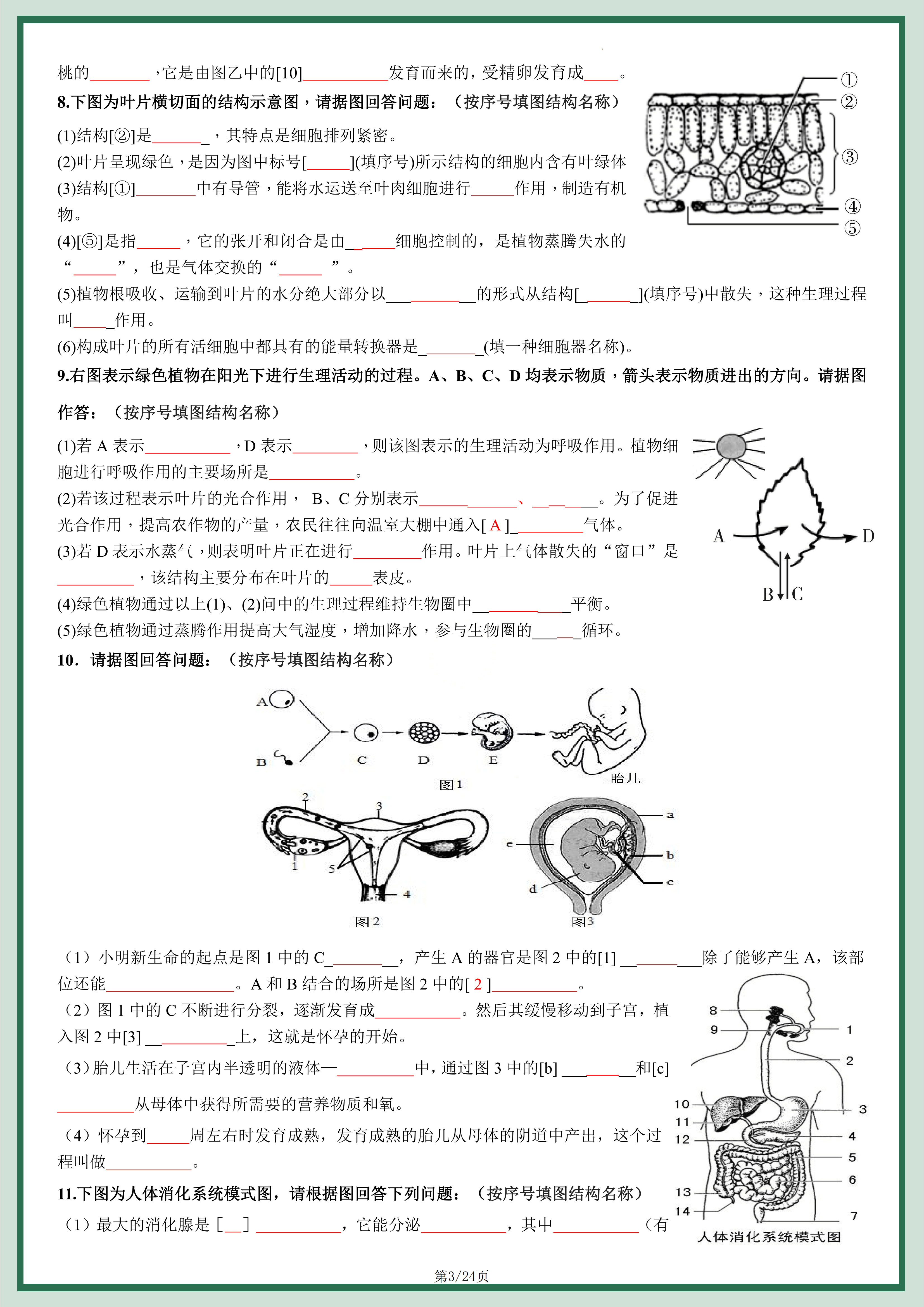 图片[3]燃梦学堂-中小学电子版资料下载：课件/试卷/教案/知识点全覆盖初中生物识图题汇总复习燃梦学堂-中小学电子版资料下载：课件/试卷/教案/知识点全覆盖燃梦学堂